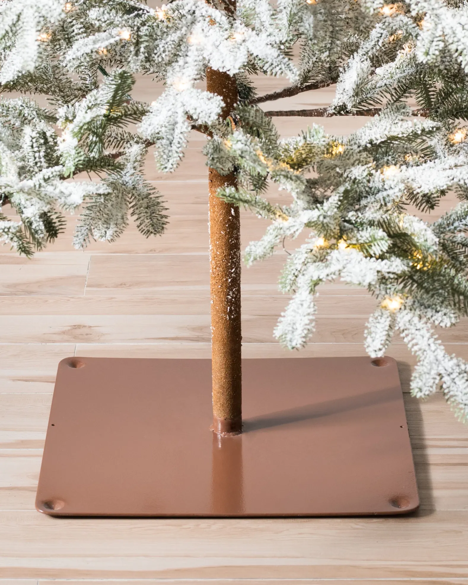 Frosted Alpine Balsam Fir Trees