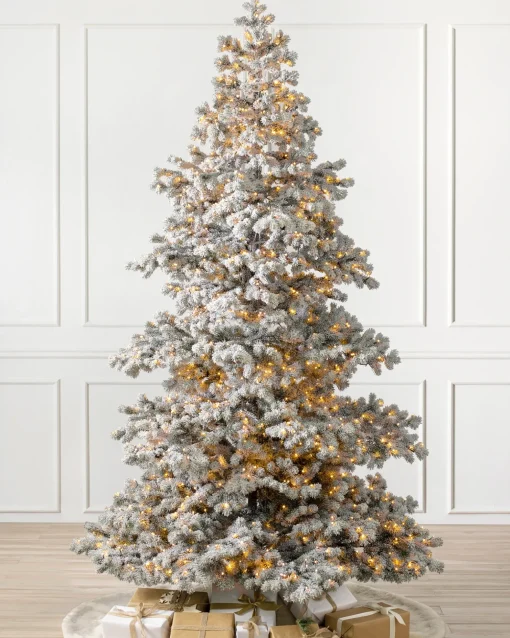 Frosted Yukon Spruce Trees