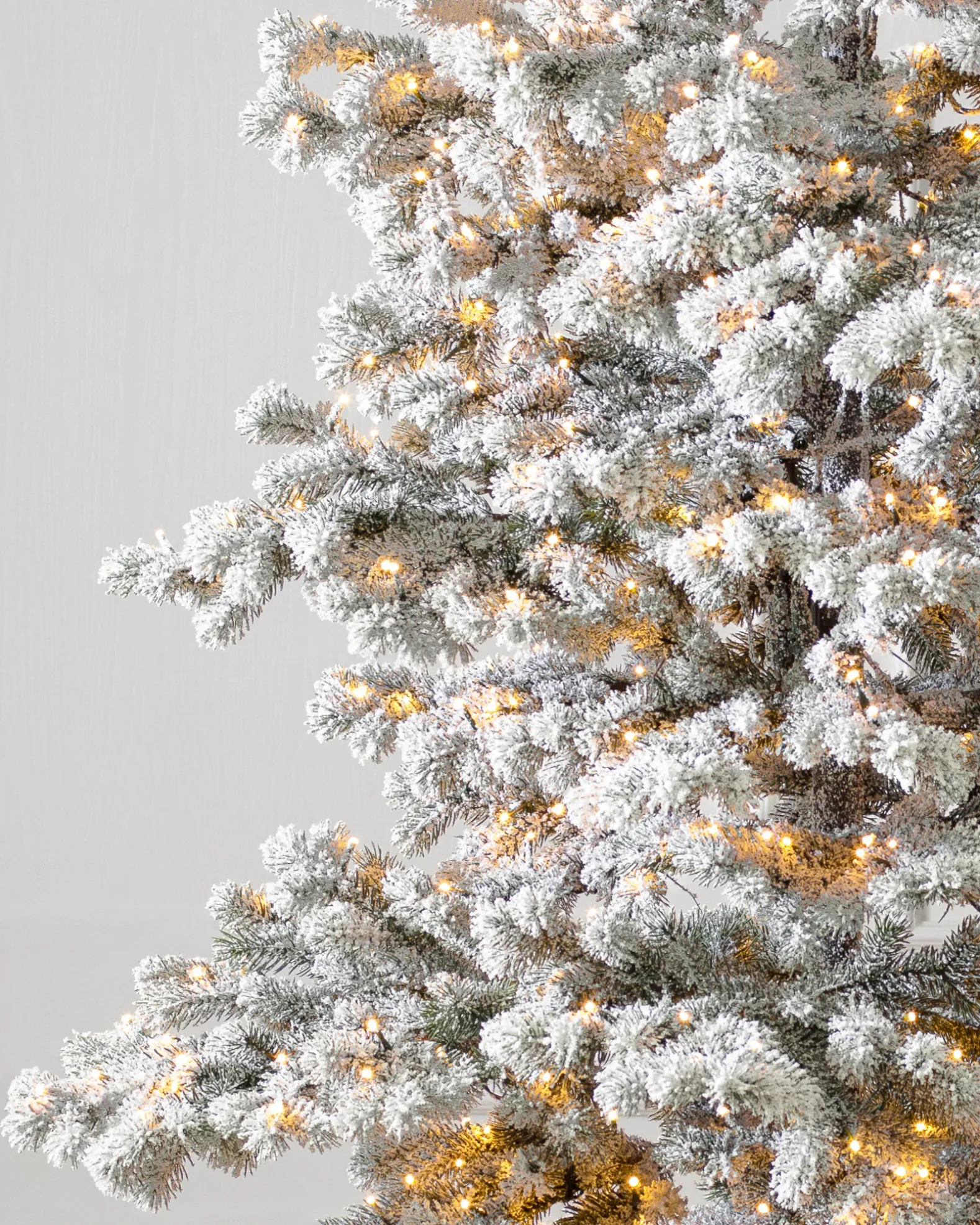 Frosted Yukon Spruce Trees