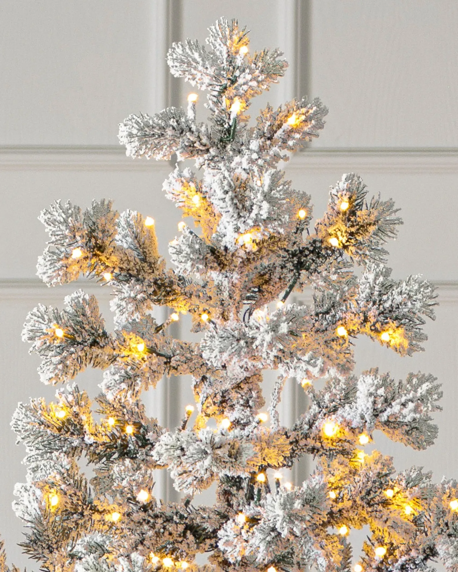 Frosted Yukon Spruce Trees