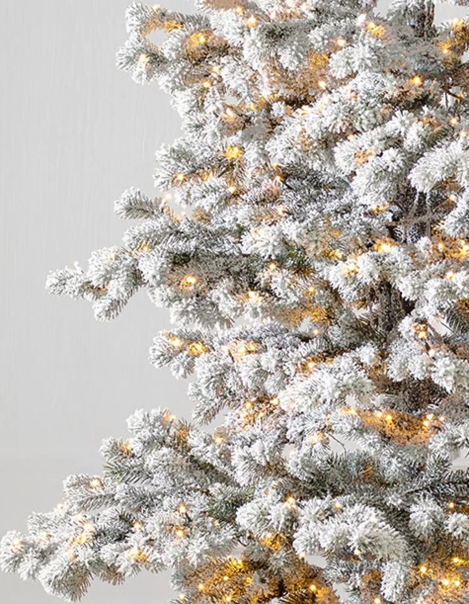 Frosted Yukon Spruce Trees