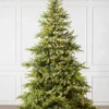 Grand Canyon Cedar® Trees