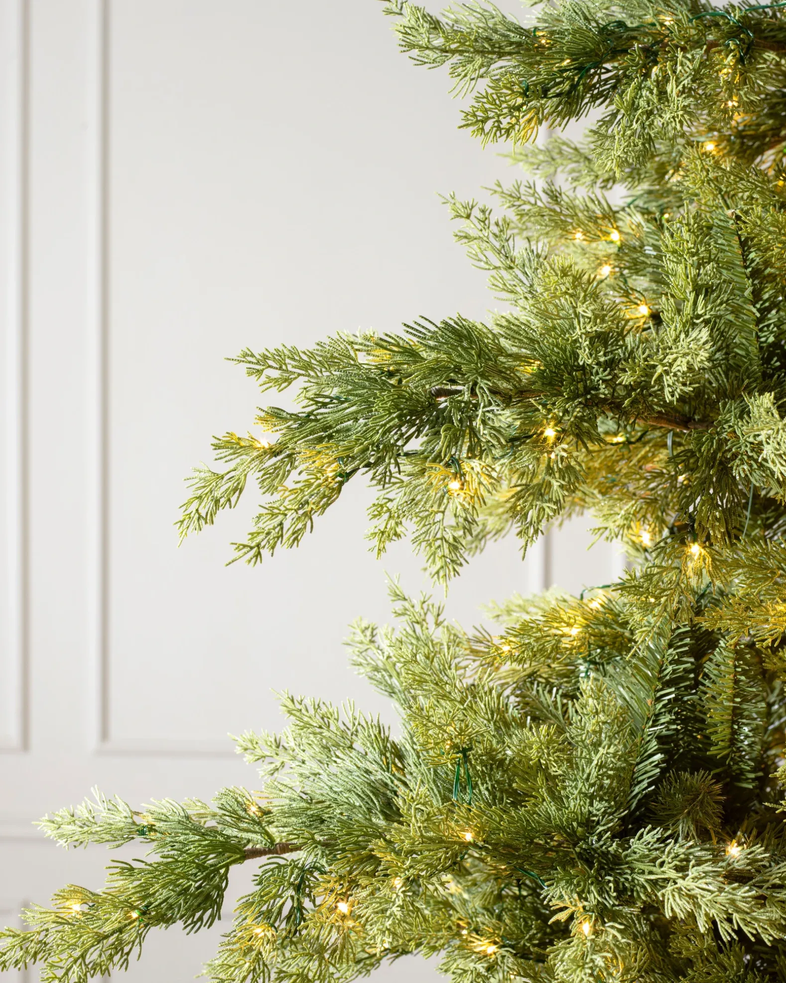 Grand Canyon Cedar® Trees
