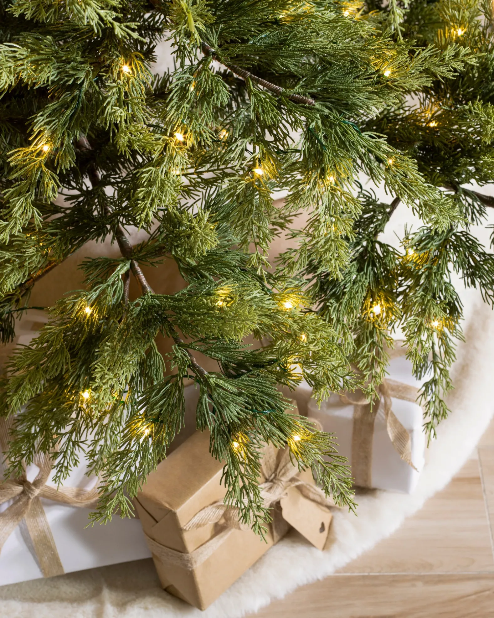 Grand Canyon Cedar® Trees