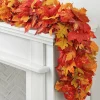 Harvest Maple Foliage