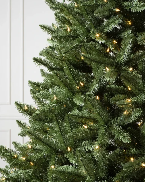 Idaho Fir