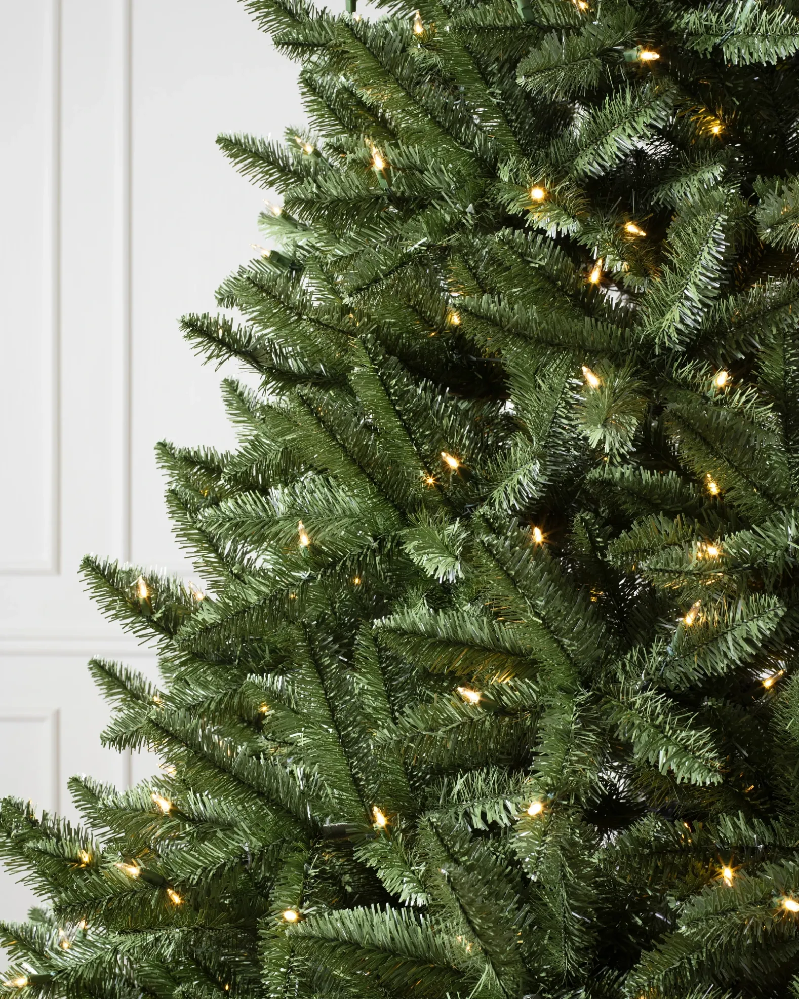 Idaho Fir