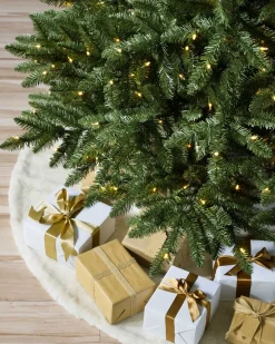 Idaho Fir