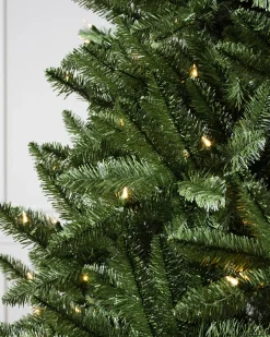 Idaho Fir