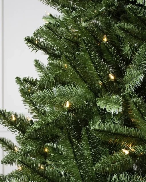 Idaho Fir