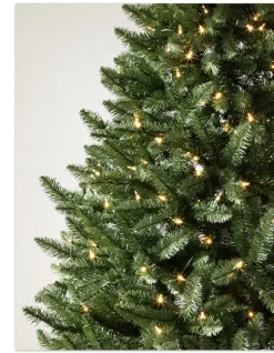 Idaho Fir