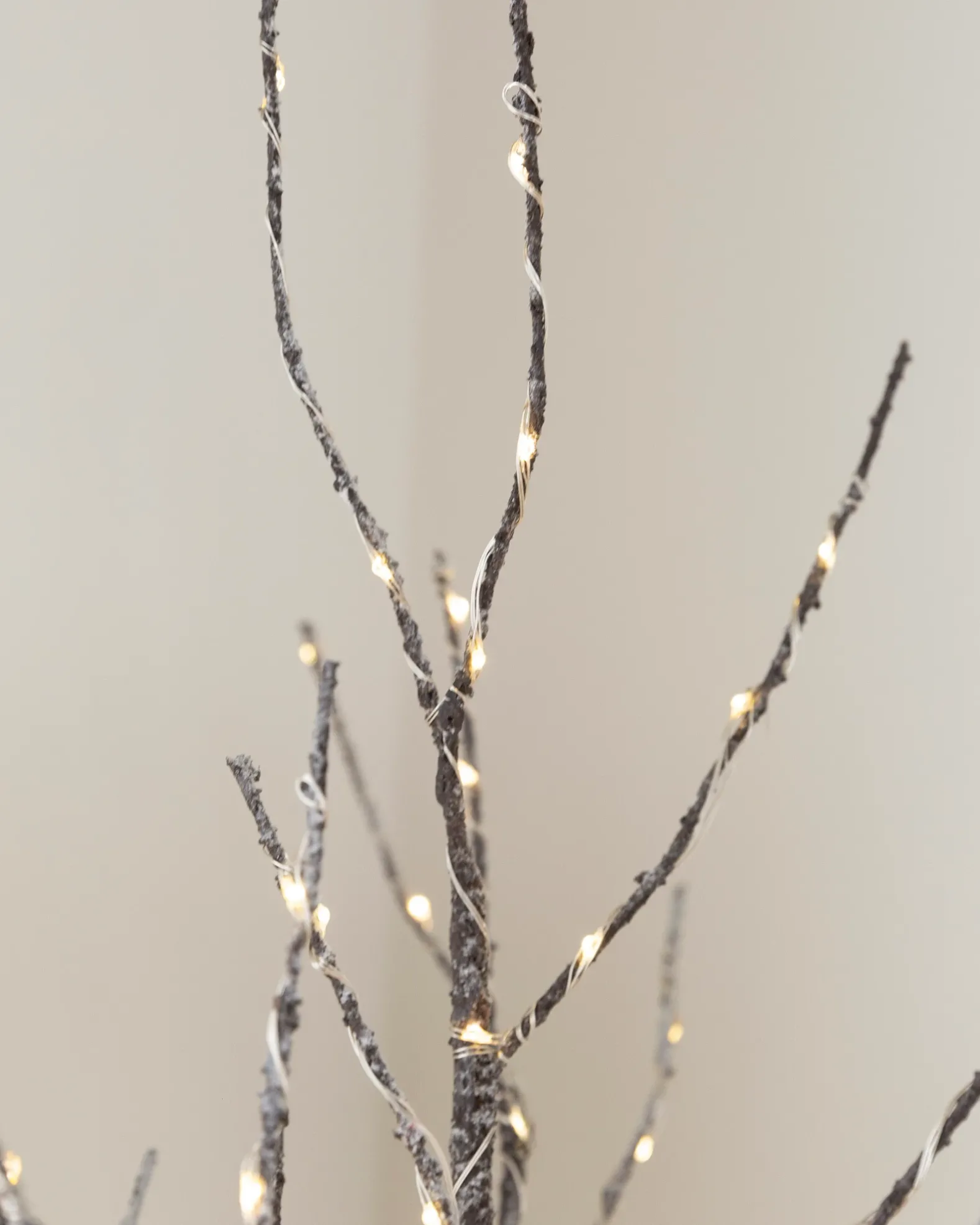 Lit Twig Branches