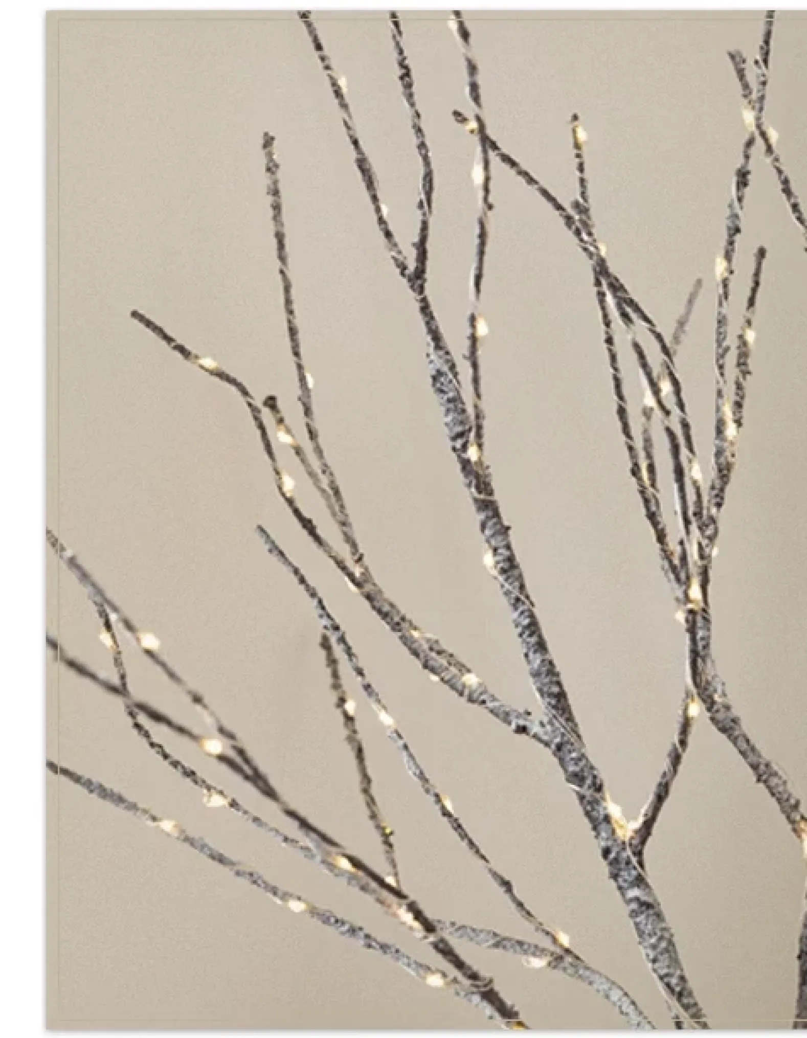 Lit Twig Branches