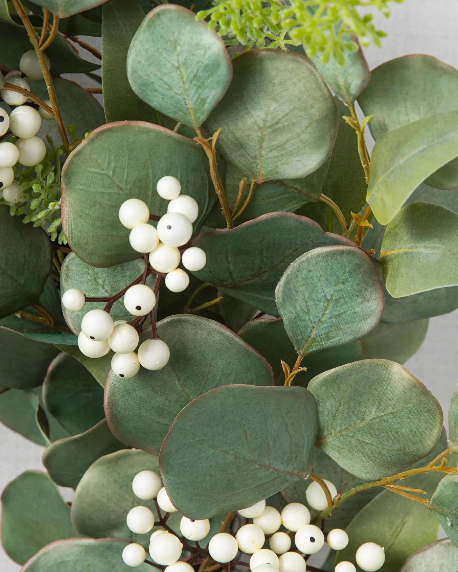Mixed Eucalyptus Foliage