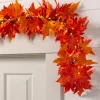 Outdoor Autumn Maple Foliage
