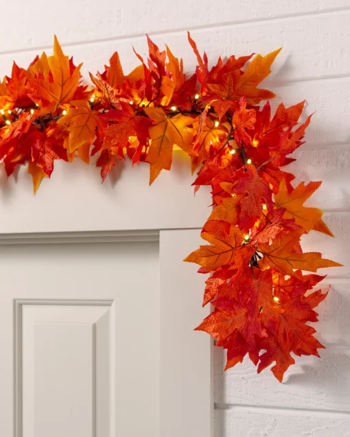Outdoor Autumn Maple Foliage