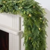 Outdoor Cedar Woods Foliage