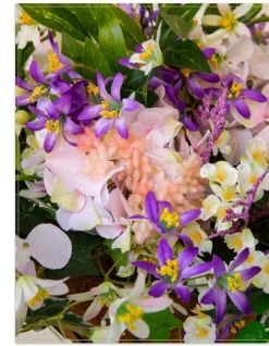 Outdoor Enchanted Garden Foliage