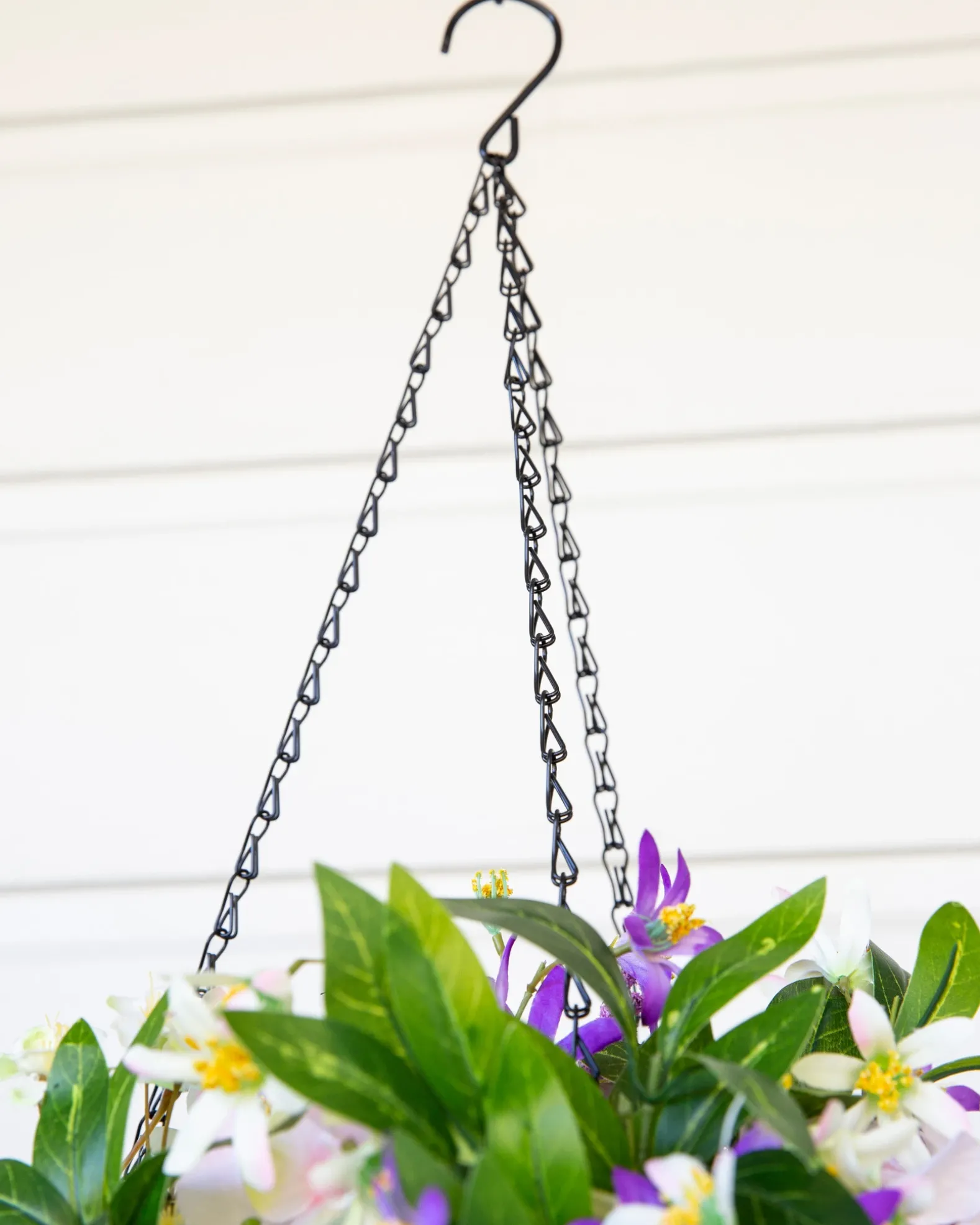 Outdoor Enchanted Garden Foliage