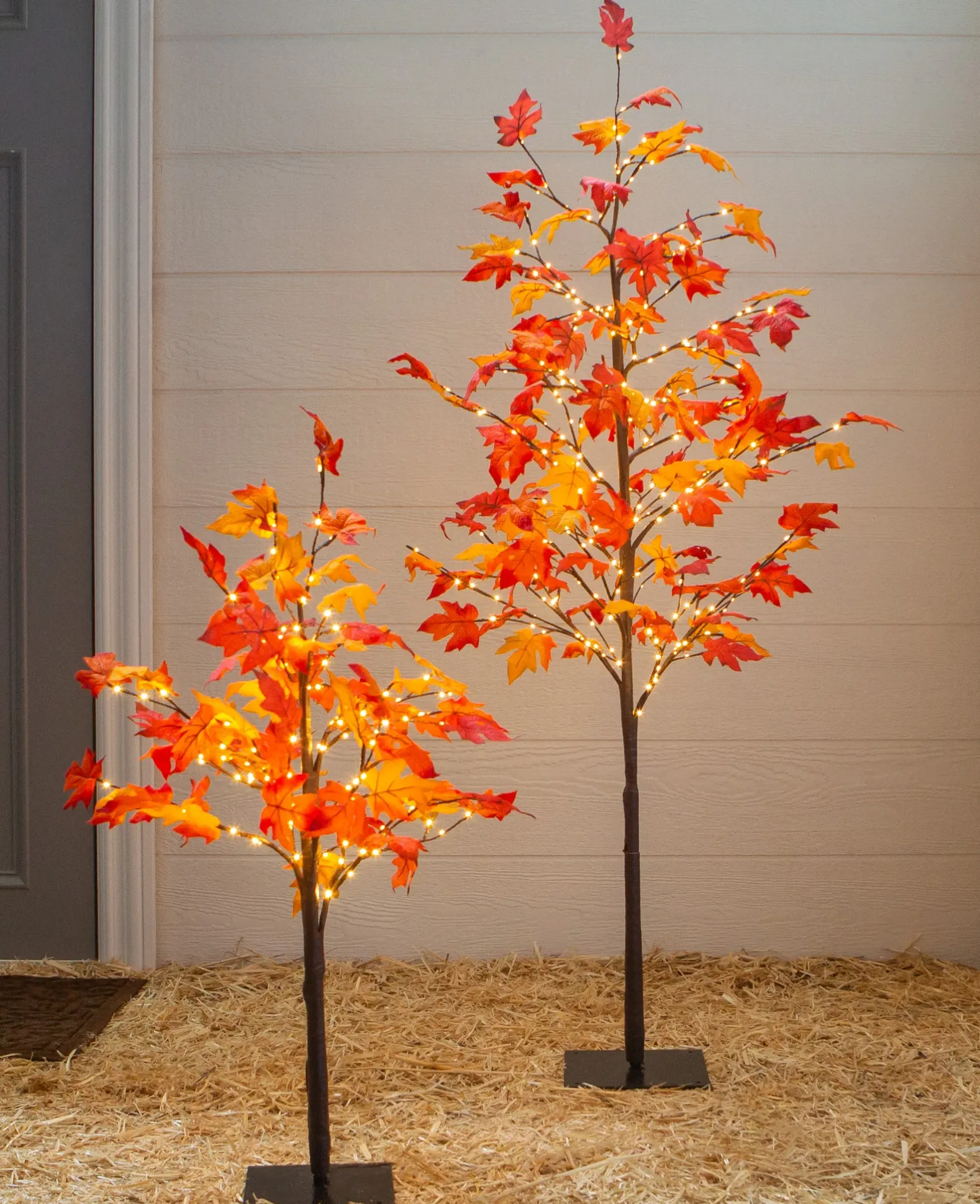Outdoor LED Lit Autumn Maple Trees