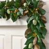 Outdoor Magnolia Leaves Foliage
