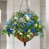 Outdoor Seaside Cottage Foliage