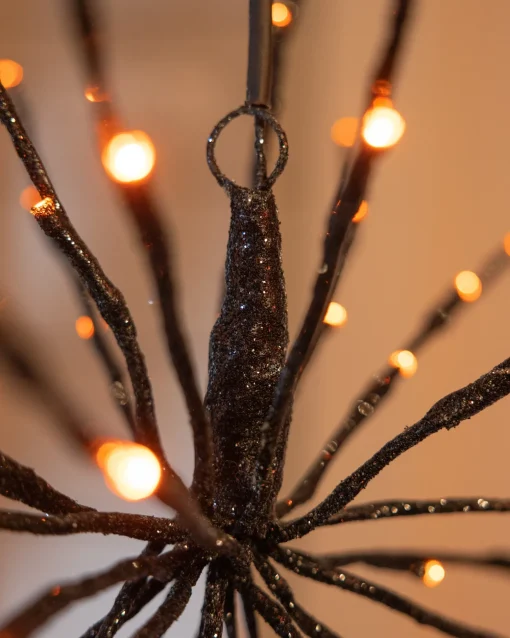 Outdoor Starburst Lights