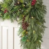 Outdoor Winter Evergreen Foliage