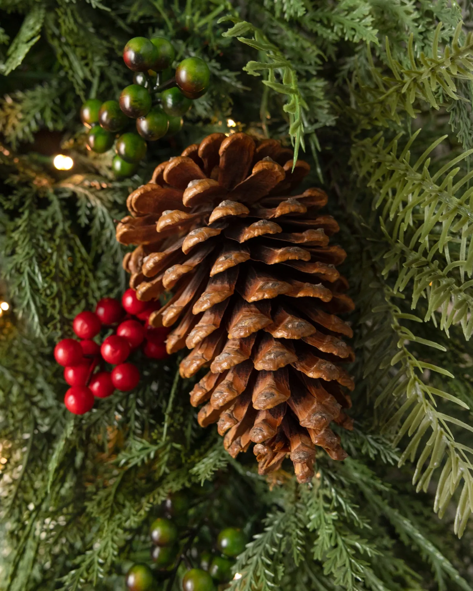 Outdoor Winter Evergreen Foliage