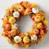 Pumpkin Patch & Berry Foliage