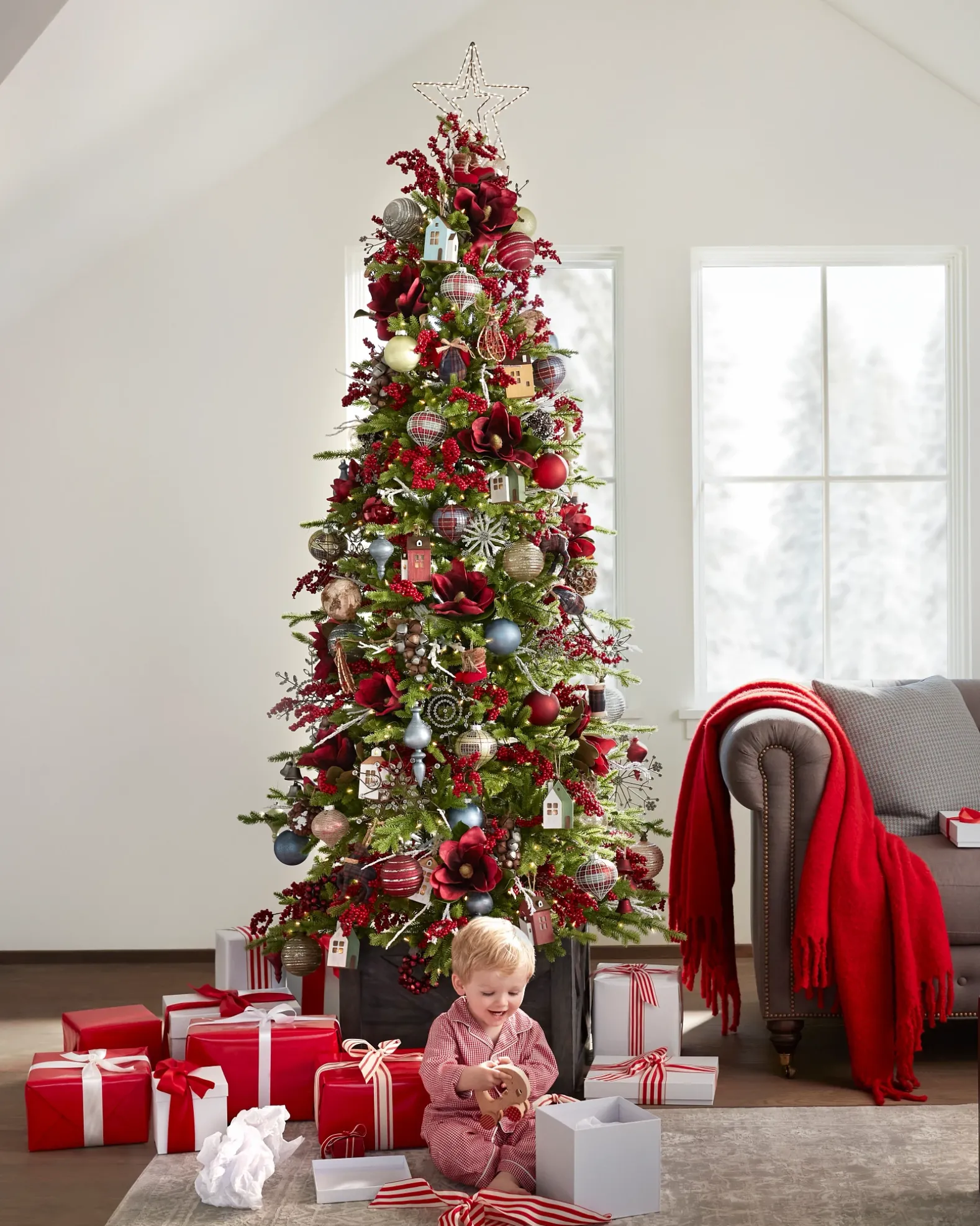 Red Spruce Trees