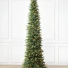 Revelstoke Fir® Trees
