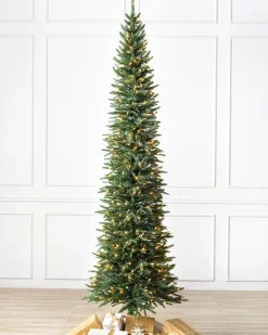 Revelstoke Fir® Trees