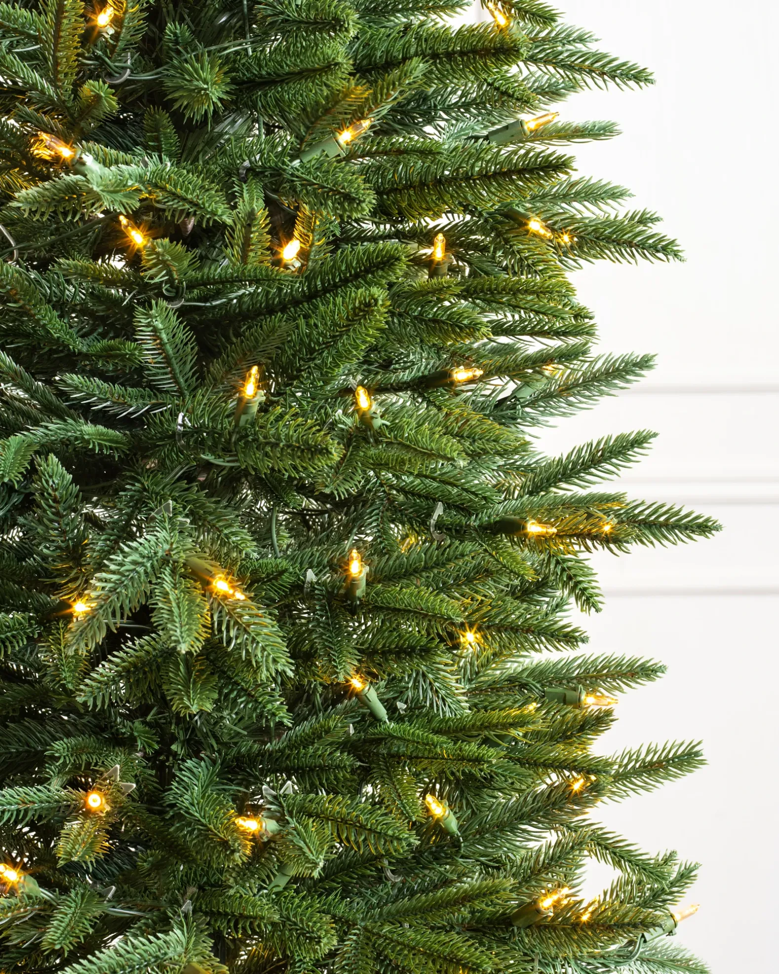 Revelstoke Fir® Trees