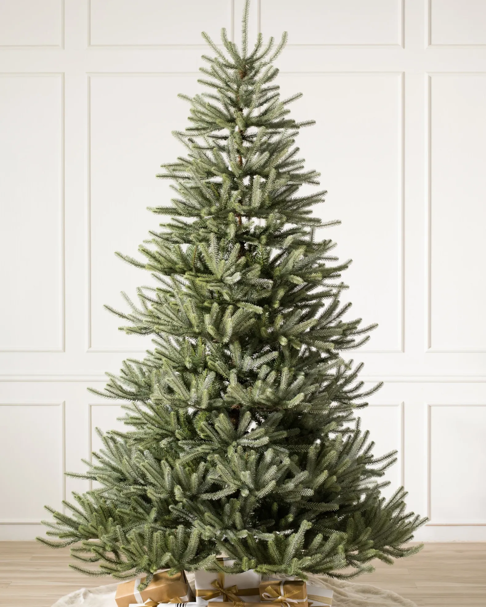 Sanibel Spruce Trees