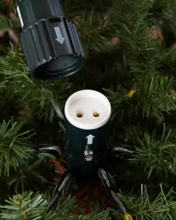 Silverado Slim® Trees