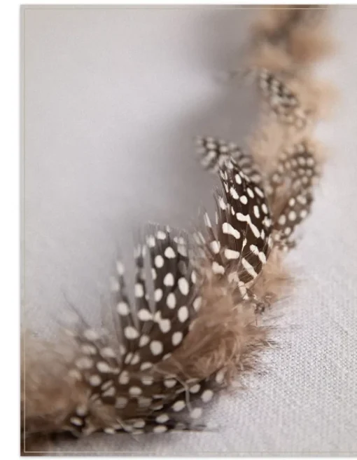 Speckled Feather Christmas Tree Garlands