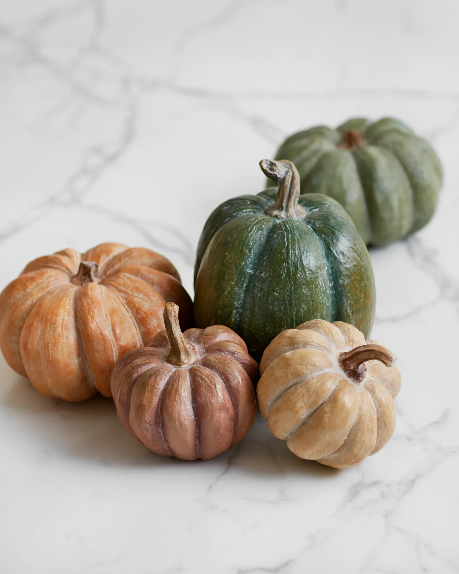 Tabletop Heirloom Pumpkins