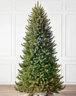Vermont White Spruce® Trees