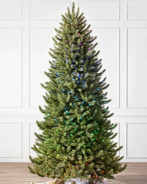 Vermont White Spruce® Trees