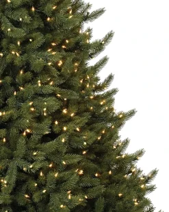 Vermont White Spruce® Trees
