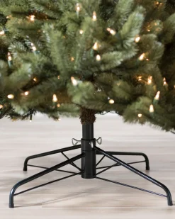 Vermont White Spruce® Trees