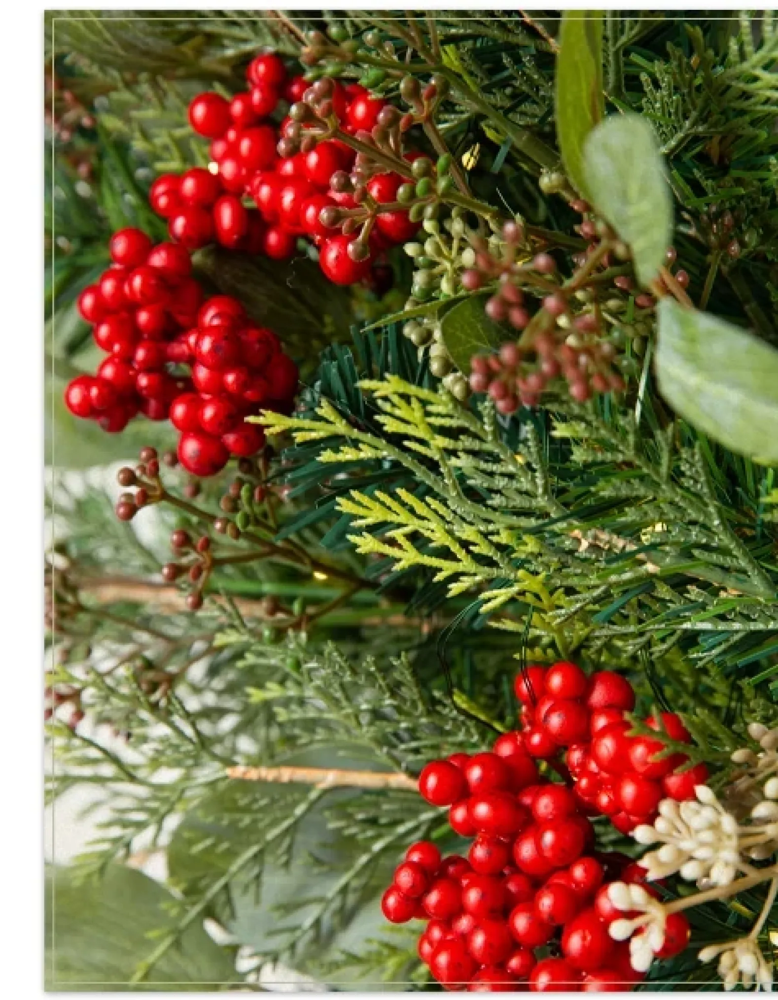 Winter Meadow Foliage