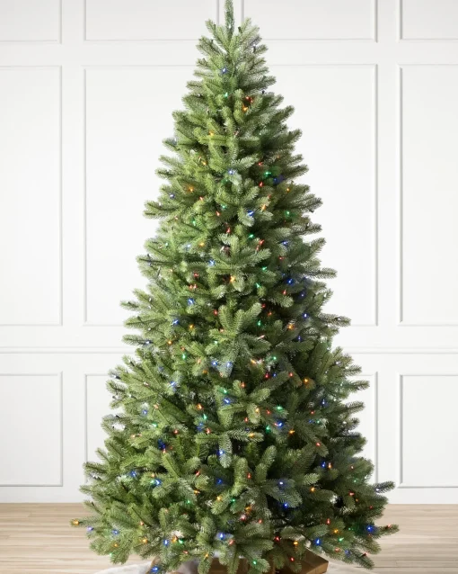 Woodland Spruce Trees