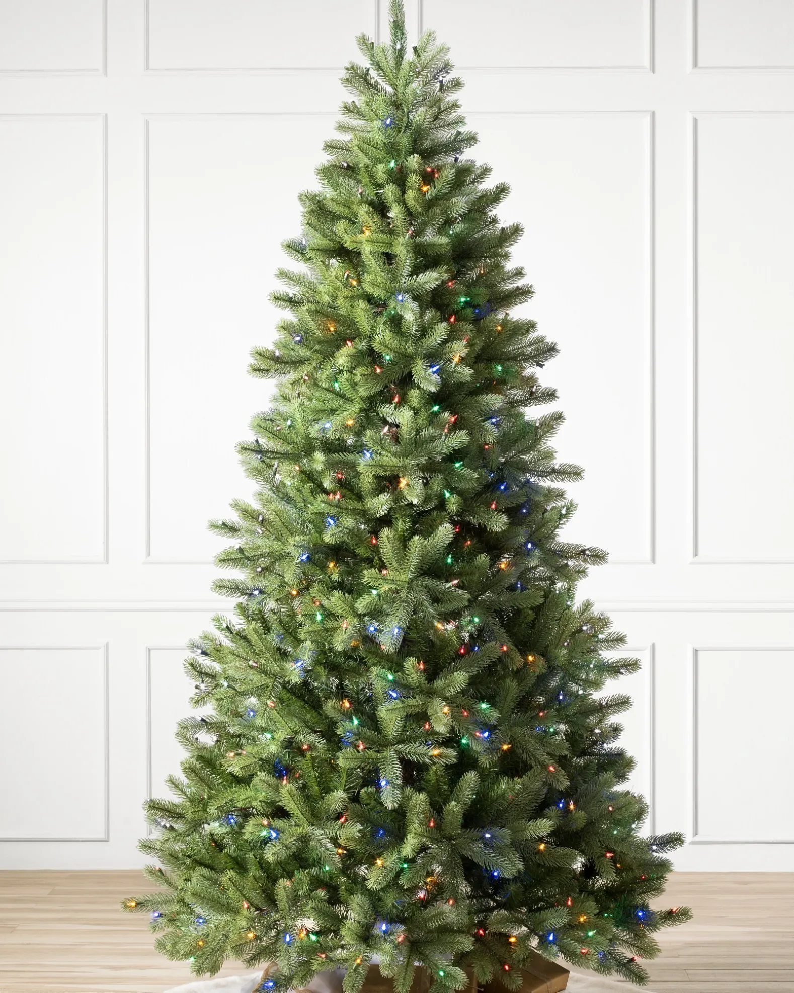 Woodland Spruce Trees