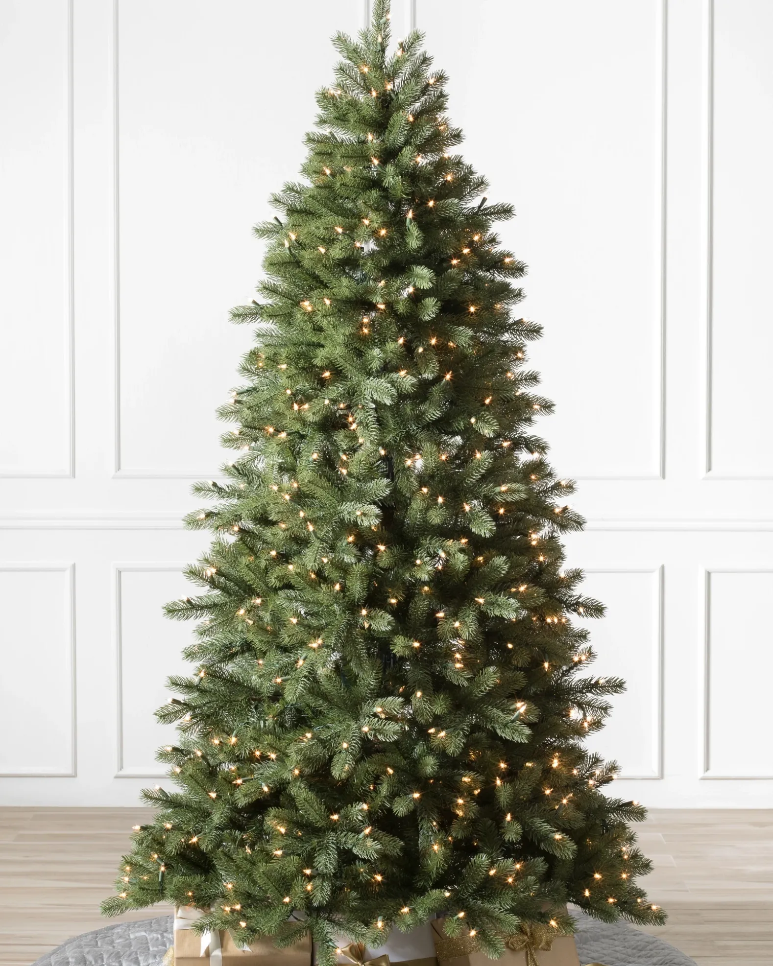 Woodland Spruce Trees